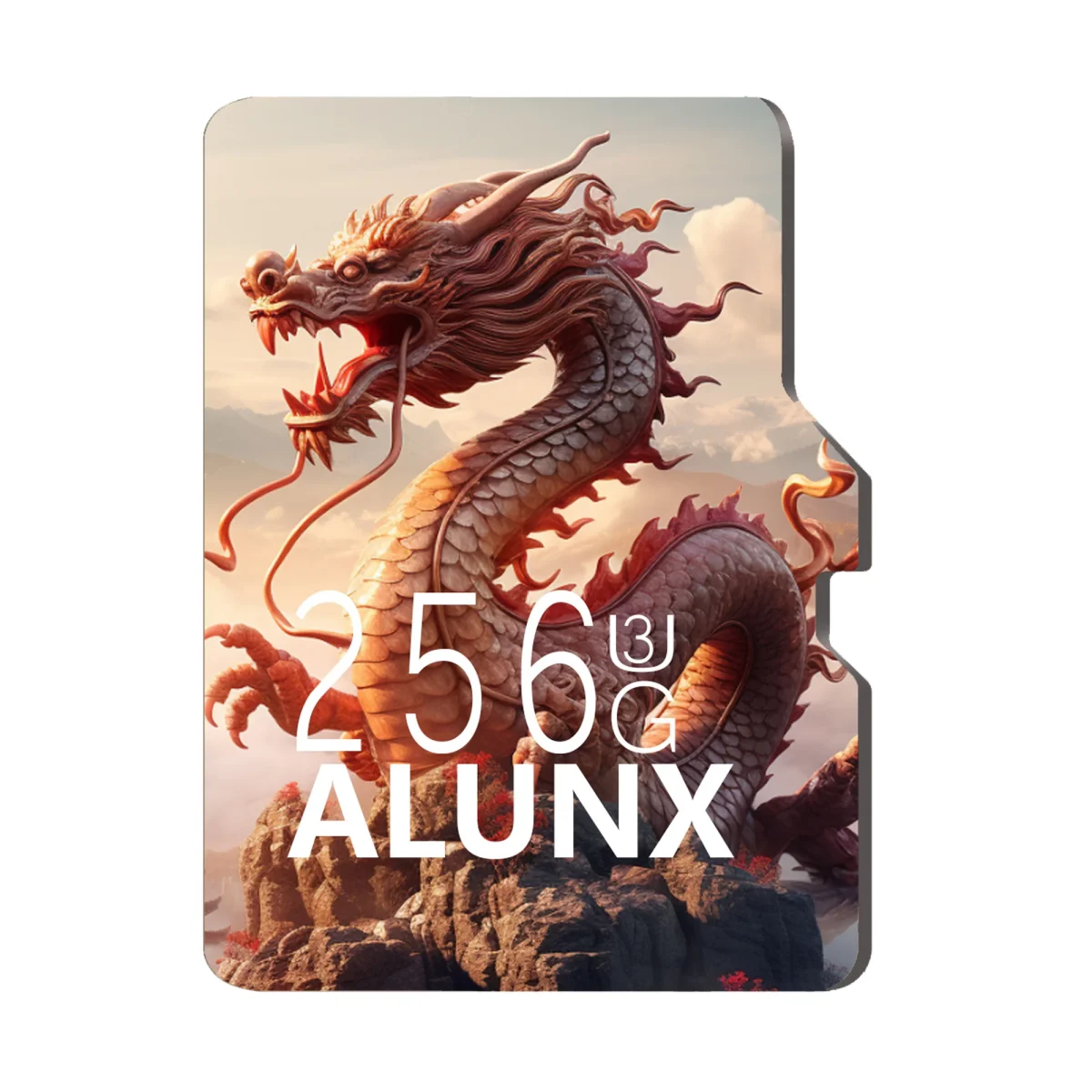 ALUNX Super Card 128G 256G Micro TF SD Card 64GB 32GB Memory Card Flash Class 10 Support mobile phones UAV etc card reader - Image 1