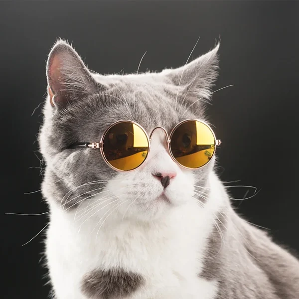 Cat Dog Cute Glasses Pet Products for Little Dog Cat Eye Wear Dog Sunglasses Kitten Accessories Pet Supplies Cat Toy