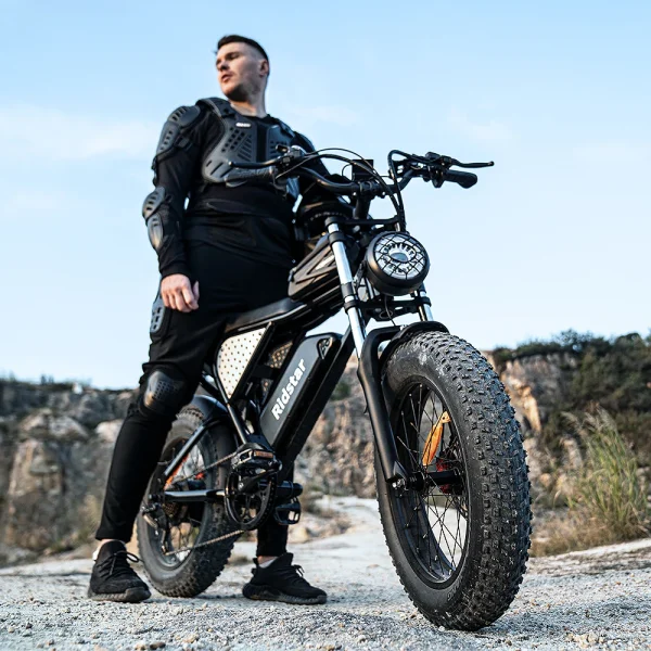 electric bike 1000W 48V 20AH Waterproof Powerful motor 20*4.0 Fat Tire For Mountain adult electric bicycle