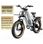Coswheel M20 Electric Bike Electrical bicycle for adult 1000W Ebike 20 Inch Tire 48V 20AH Battery Outdoor Road Snow Bike Cargo