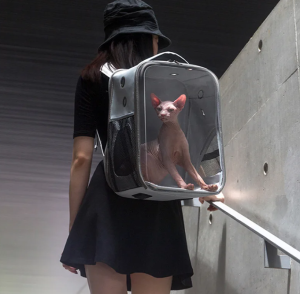 Transparent Cat Carrier Bag Foldable Cat Carry Backpack Breathable Portable Outgoing Travel Backpack Carrier For Cats Small Dogs
