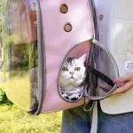 Transparent Cat Carrier Bag Foldable Cat Carry Backpack Breathable Portable Outgoing Travel Backpack Carrier For Cats Small Dogs - Image 3