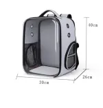 Transparent Cat Carrier Bag Foldable Cat Carry Backpack Breathable Portable Outgoing Travel Backpack Carrier For Cats Small Dogs - Image 5