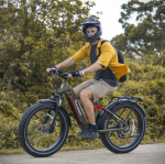 Electric Bike 48V 20AH Samsung Battery 750W Powerful Motor 26*4.0inch Fat Tire Full Suspension Ebike Mountain Electric Bicycles - Image 2