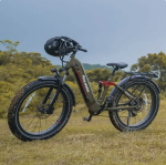 Electric Bike 48V 20AH Samsung Battery 750W Powerful Motor 26*4.0inch Fat Tire Full Suspension Ebike Mountain Electric Bicycles - Image 6