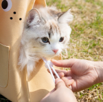 Canvas Pet Shoulder Bag Portable Travel Cats and Dogs Bag Breathable Outdoor Carrier Bag for Small Pet Kitten and Puppy Supplies - Image 5