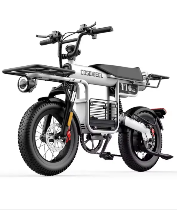 Coswheel Electric Bike T16 Adult Mountain bikes Road Ebike 1000W 48V 15AH Fat Tire Cycling outdoor Urban Commuting Electric bike